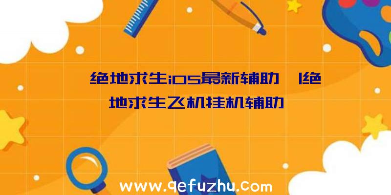 「绝地求生iOS最新辅助」|绝地求生飞机挂机辅助